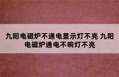 九阳电磁炉不通电显示灯不亮 九阳电磁炉通电不响灯不亮